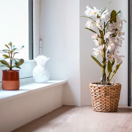 Hypercentre 2 A 4 Pers, Calme & Cosy Avec Terrasse Privee * Nantes