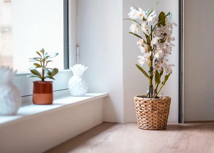 Havre De Paix- Hyper Centre 2/4 Pers Avec Terrasse Privée * Nantes